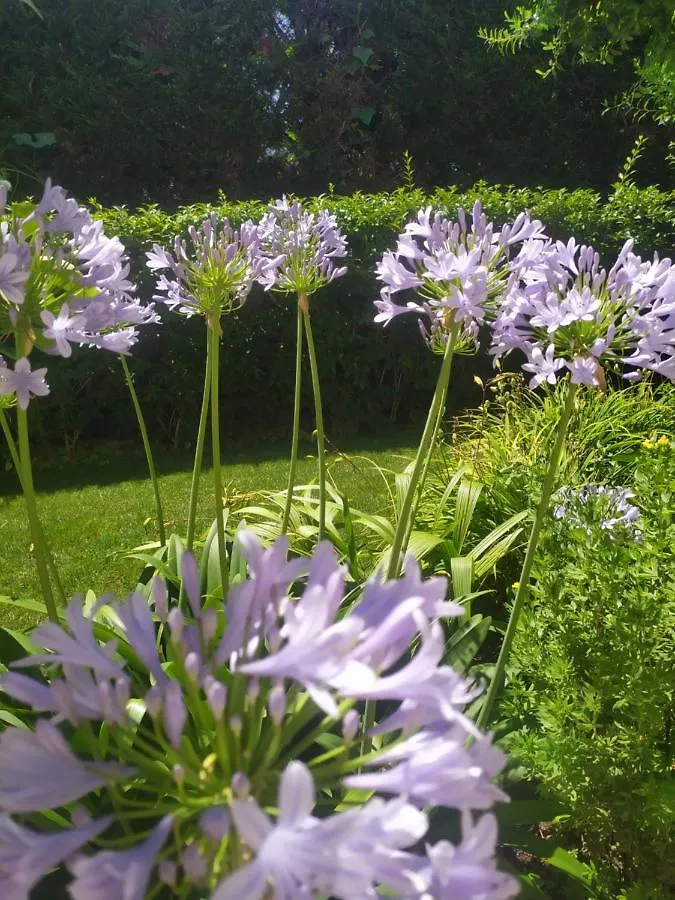 Al Casale B&B Casalserugo